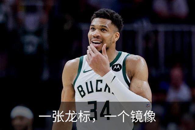 一张龙标，一个镜像