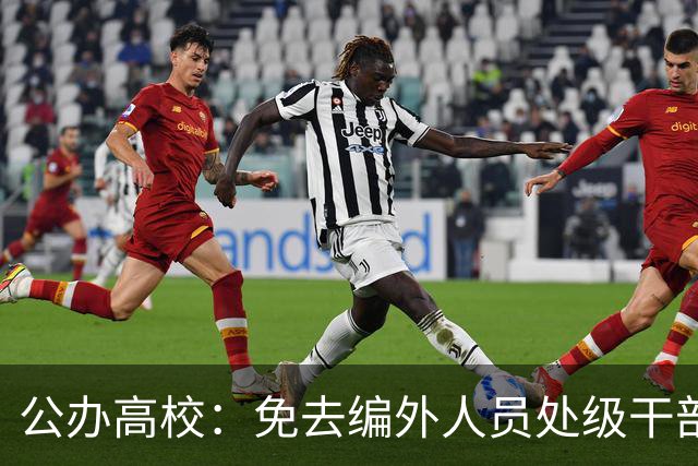 公办高校：免去编外人员处级干部职务