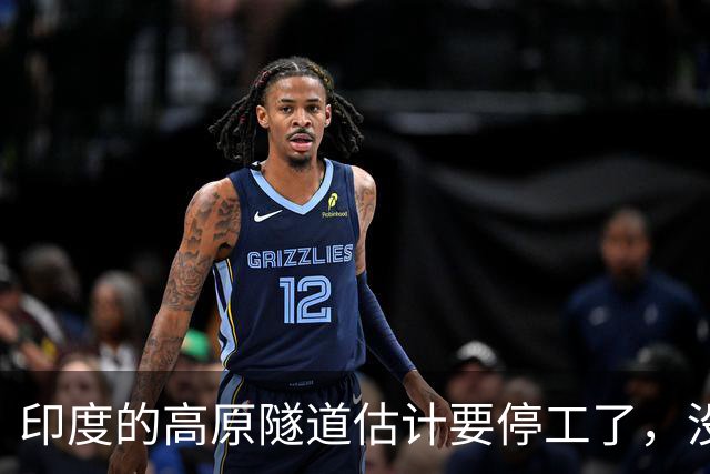 印度的高原隧道估计要停工了，没有中国的盾构机，隧道根本打不通；