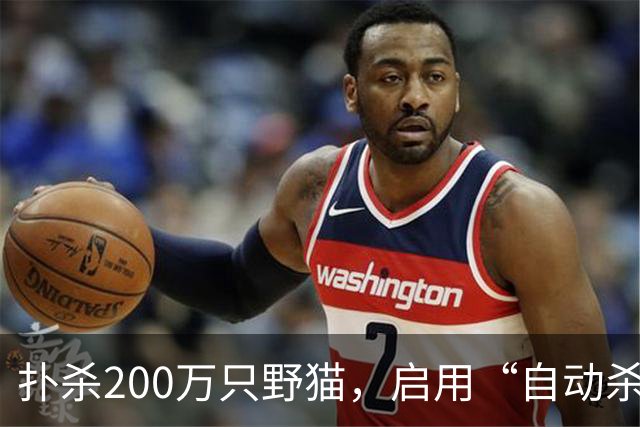 扑杀200万只野猫，启用“自动杀猫机”，对家猫“宵禁”……澳大利亚为什么不肯放过野生“哈基米”？