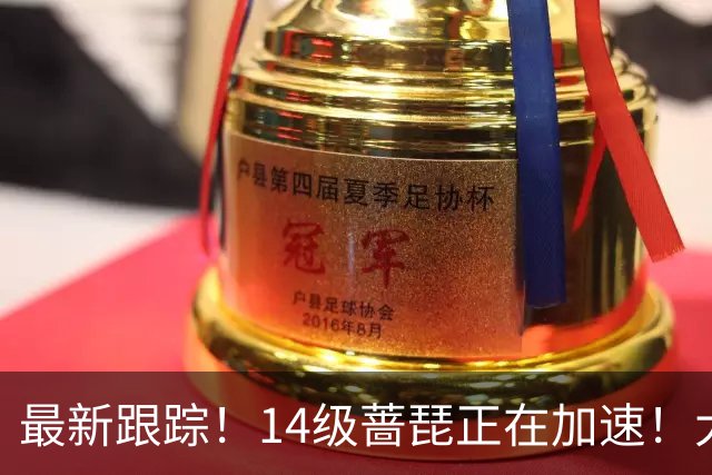 最新跟踪！14级蔷琵正在加速！大概率会转向，还有一条危险路径！