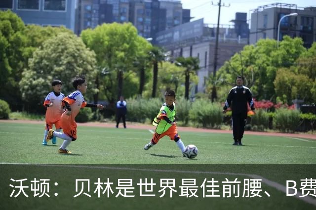 沃顿：贝林是世界最佳前腰、B费排第二；凯恩最应该拿金球奖