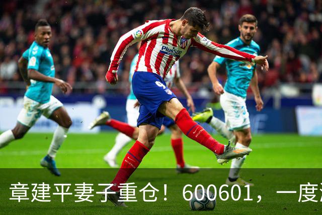 章建平妻子重仓！600601，一度涨停