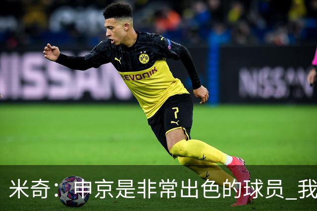 米奇：申京是非常出色的球员 我们本可以更早对他做防守布置