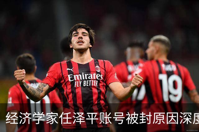 经济学家任泽平账号被封原因深度分析