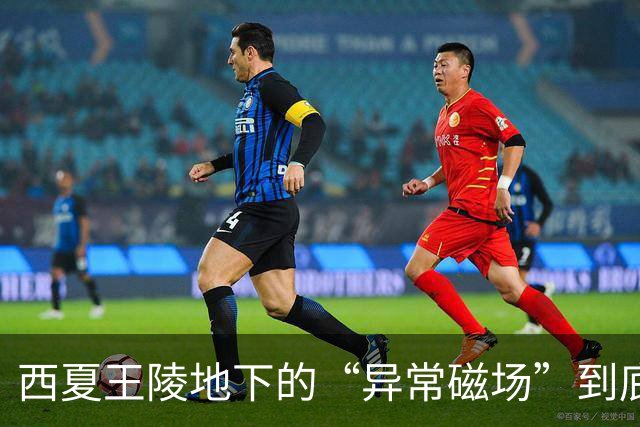 西夏王陵地下的“异常磁场”到底是什么？真相让人大跌眼镜