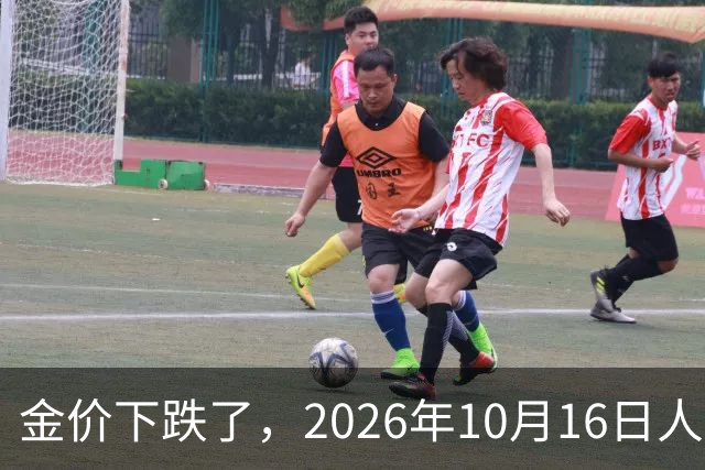 金价下跌了，2026年10月16日人民币与国内黄金的最新报价一览