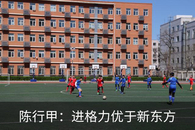 陈行甲：进格力优于新东方