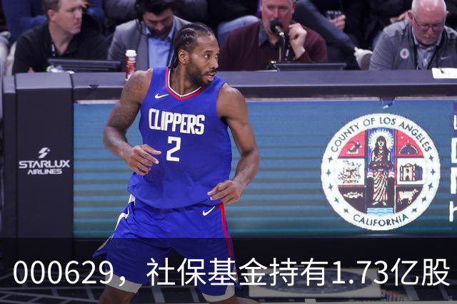 000629，社保基金持有1.73亿股