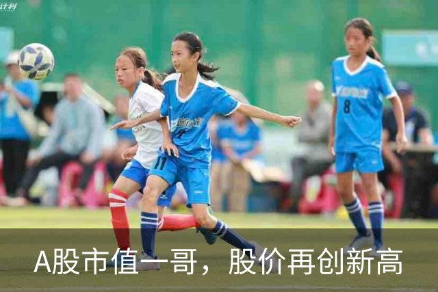 A股市值一哥，股价再创新高